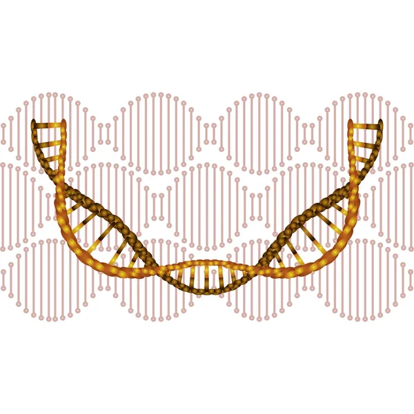 Chaîne dna avec icône de la science courbe — Image vectorielle