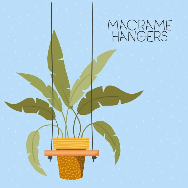 Plant in macrame Hangers — Stockvector