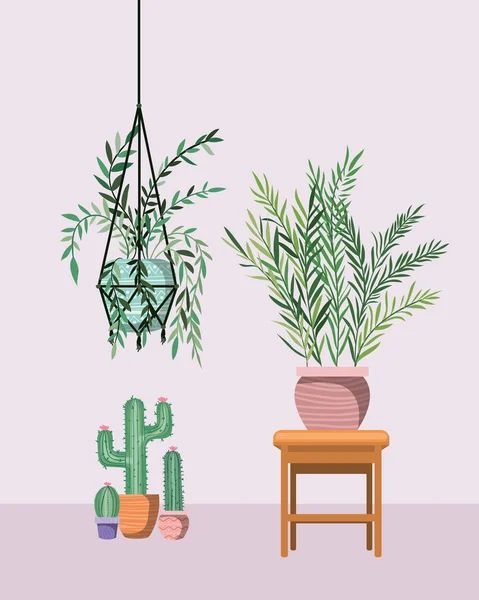 在马德拉梅衣架和木椅的室内植物 — 图库矢量图片