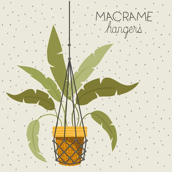 Houseplant in macrame hangers — Stock Vector