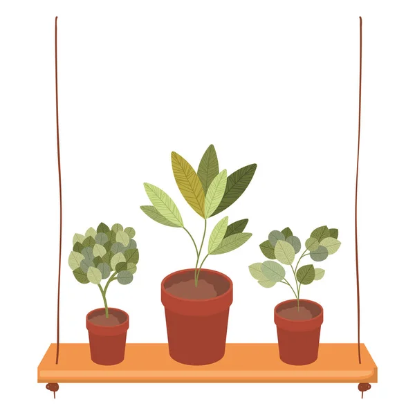 Shelf plants isolated icon — Stock Vector