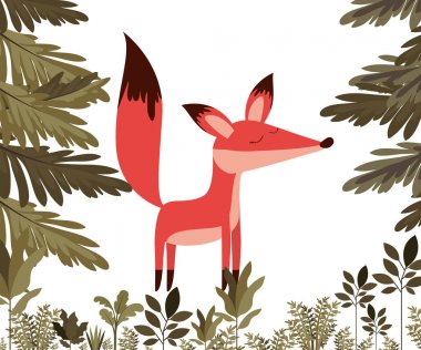 Vahşi tilki orman sahnesinde