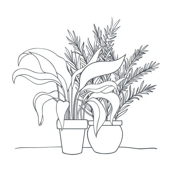 Plantes d'intérieur avec icône isolée en pot — Image vectorielle