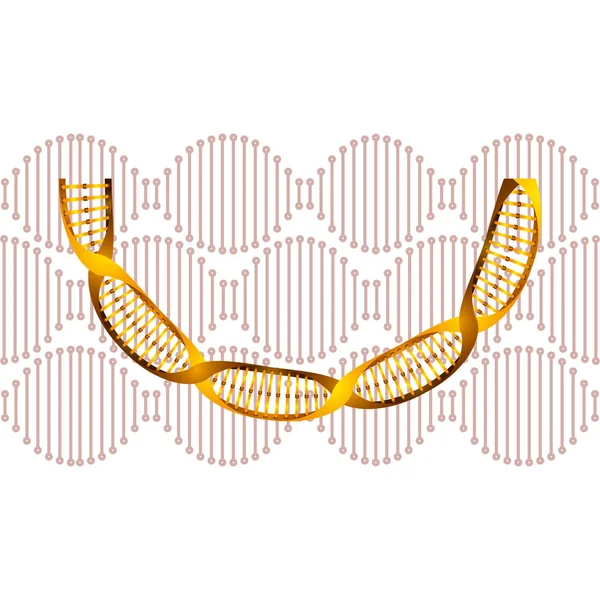 Chaîne dna avec icône de la science courbe — Image vectorielle