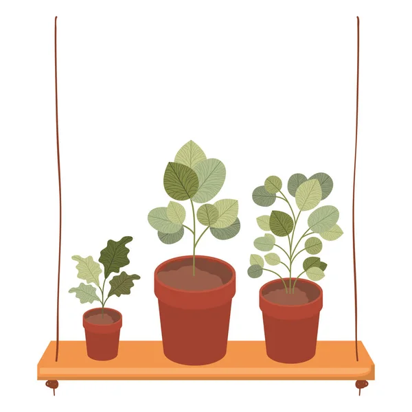 Shelf plants isolated icon — Stock Vector