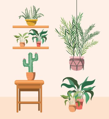 macrame askıları ve ahşap sandalye de houseplants