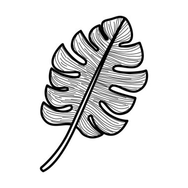 yaprak bitki ekoloji simgesi