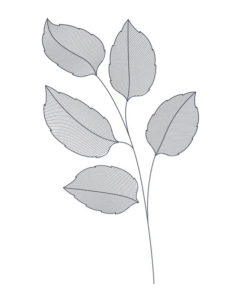 葉分離アイコンを持つブランチ — ストックベクタ