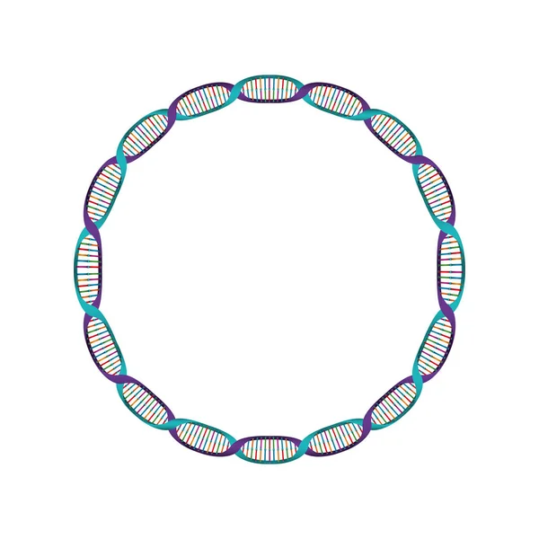 Икона круговой ДНК-цепи — стоковый вектор