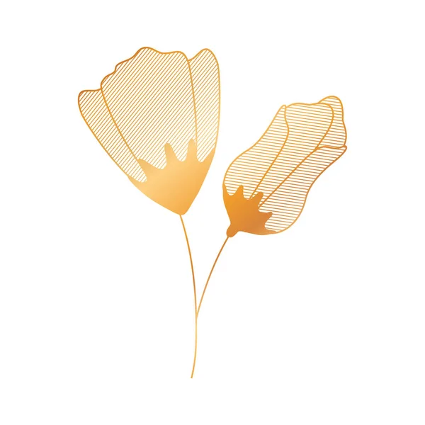 Flower with sepal isolated icon — Stock Vector