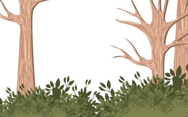 yapraklar sahneleri olmadan ağaçlar orman sonbahar