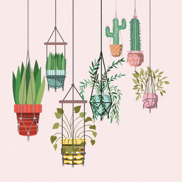 Houseplants in macrame Hangers — Stockvector