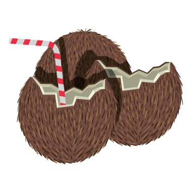 taze içecek hindistan cevizi kokteylleri