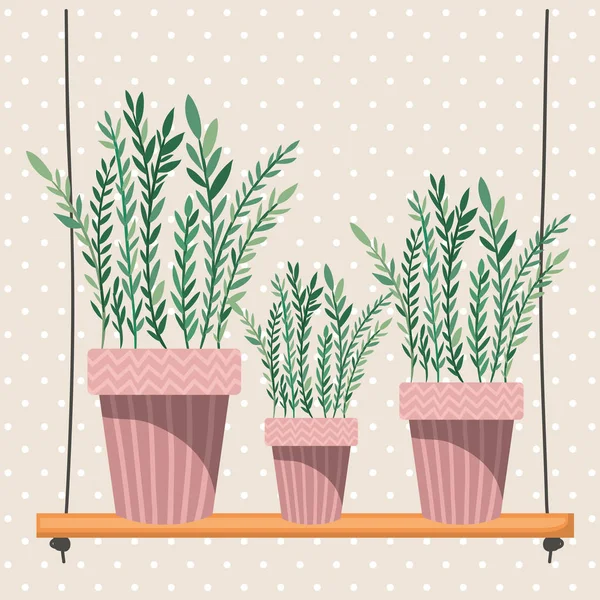 Plantas de sala em cabides macrame e balanço —  Vetores de Stock