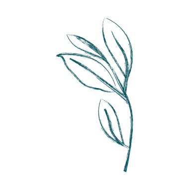 Yaprak ekoloji simgesine sahip dal