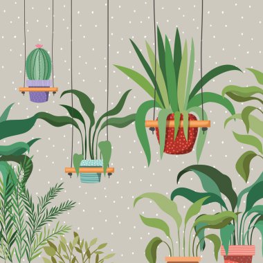macrame askıları bahçe sahnesinde houseplants
