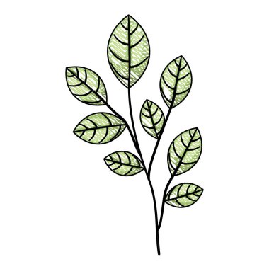 Yaprak ekoloji simgesine sahip dal