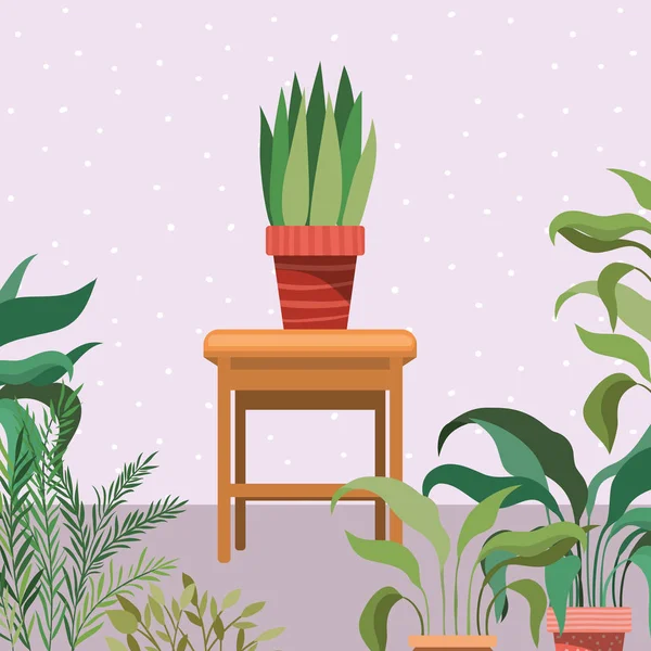 Plantes d'intérieur dans chaise en bois scène de jardin — Image vectorielle