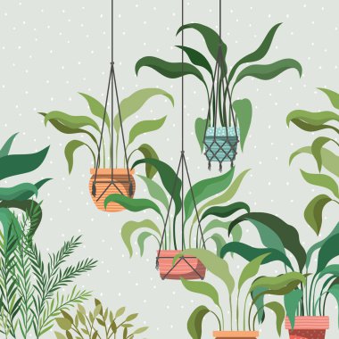 macrame askıları bahçe sahnesinde houseplants