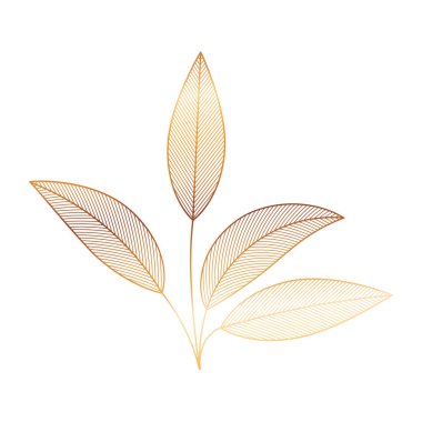 yaprakları izole simgesi ile dalları