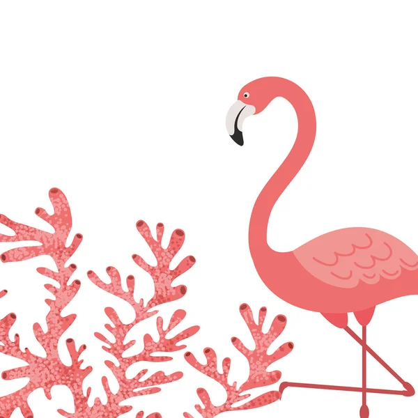 Roze flamingo geïsoleerd icoon — Stockvector