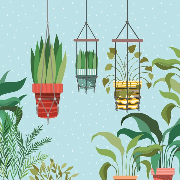 Plantas de interior en macramé perchas escena jardín — Vector de stock