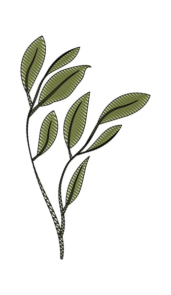 葉生態系のアイコンを持つ枝 — ストックベクタ