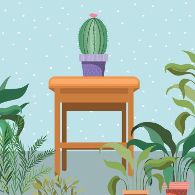 bahçede kaktüs ev bitkileri