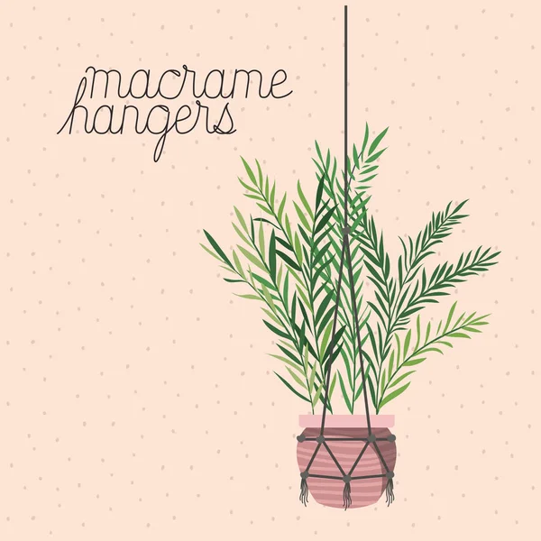 Houseplant in macrame hangers — Stock Vector