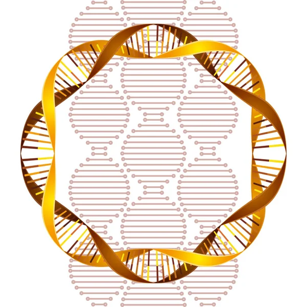 Körkörös DNS-lánc tudomány ikonja — Stock Vector