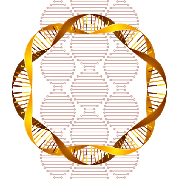 Ícone de ciência de cadeia de dna circular — Vetor de Stock