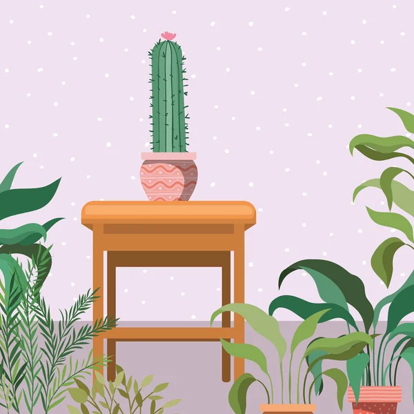 Piante d'appartamento di cactus in giardino — Vettoriale Stock