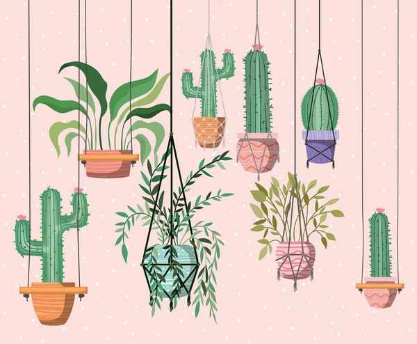 Houseplants in macrame Hangers — Stockvector