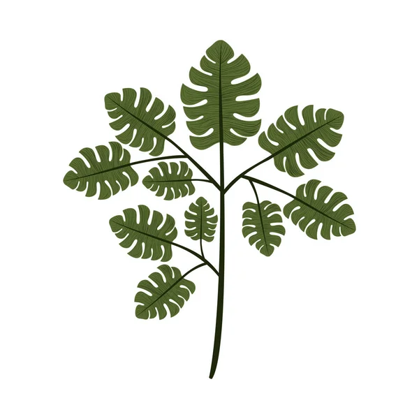 Ramo con foglie icona dell'ecologia — Vettoriale Stock