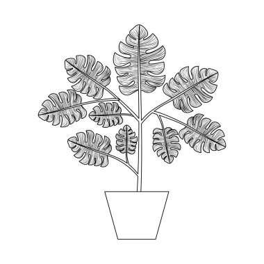 saksı dekoratif simgesi ev bitki