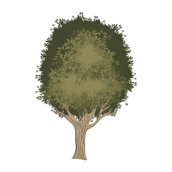 Arbre peint style aquarelle — Image vectorielle