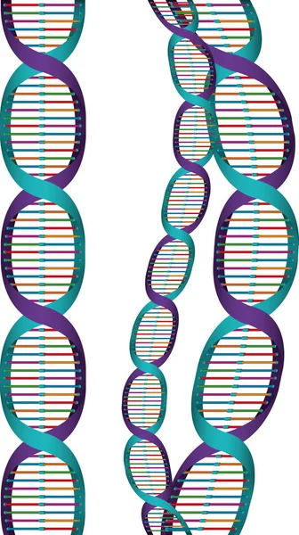 Οριζόντιες αλυσίδες DNA αλυσίδα επιστήμη πολύχρωμα — Διανυσματικό Αρχείο