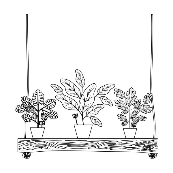 Krukväxter i swing dekorativ ikon — Stock vektor