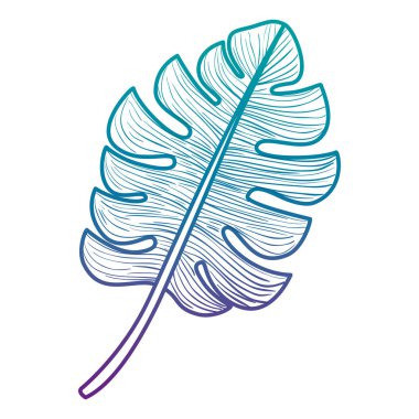 yaprak bitki ekoloji simgesi