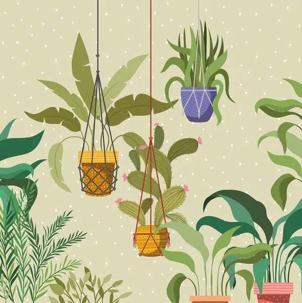 Комнатные растения в макраме вешалки в саду сцены — стоковый вектор
