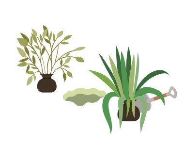 ağaçlar izole simgesi bitki