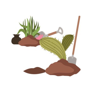 kaktüs ve ağaç izole simgesi bitki