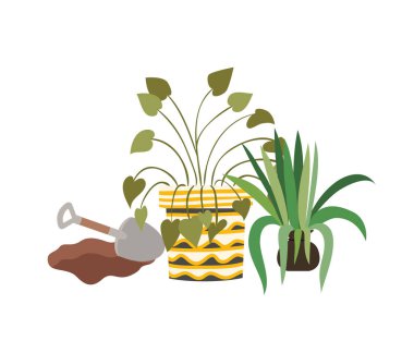 saksı izole simgesi ile houseplants