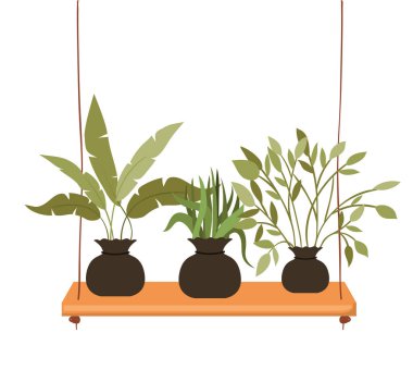 raf izole simgesi üzerinde saksı ile houseplants