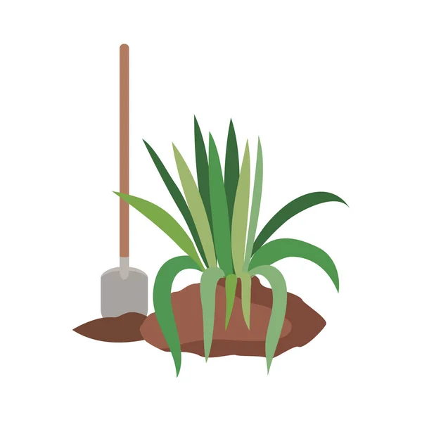 Tree to plant isolated icon — Stock Vector