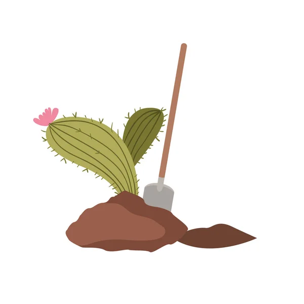 Cactus para plantar icono aislado — Vector de stock