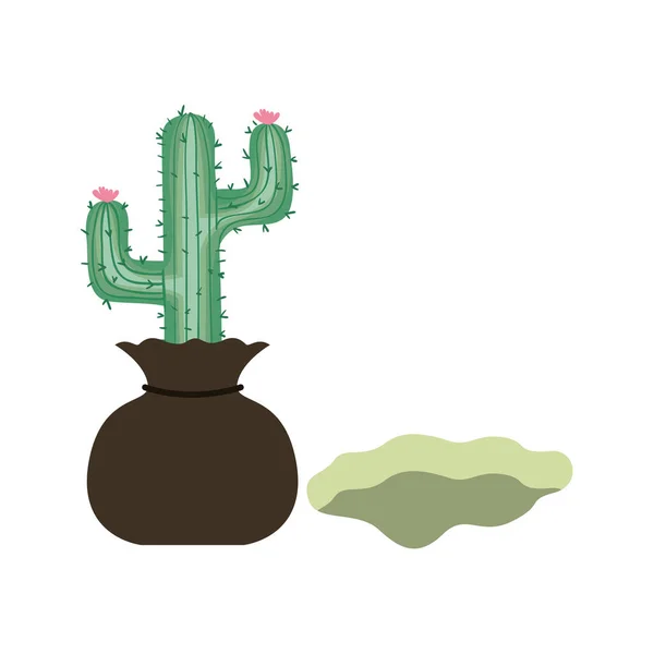 Cactus para plantar icono aislado — Vector de stock