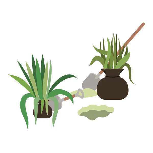 Trees to plant isolated icon — Stock Vector