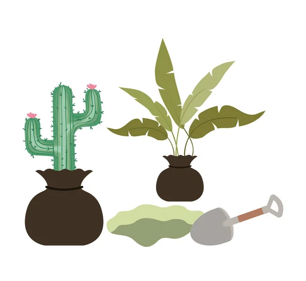 Kaktus i drzewo do roślin na białym tle ikona — Wektor stockowy
