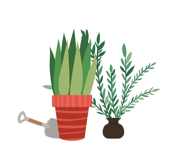 Krukväxter med kruk växt isolerad ikon — Stock vektor